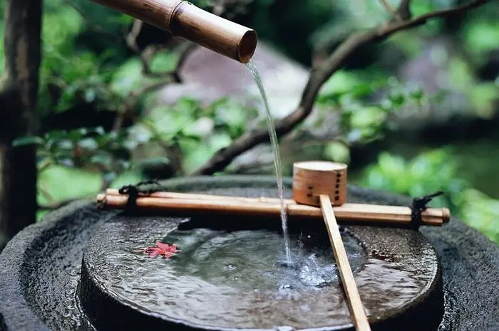 虹景木陽臺-驚鹿，蹲踞